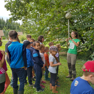 Természetiskola program - az erdők világa
