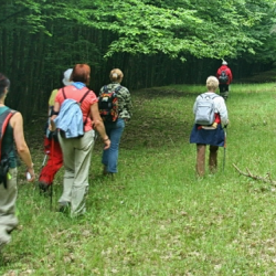24. Őrség-Goričko Walking performance tours