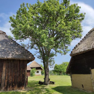 Őrségi Népi Műemlékegyüttes Galéria