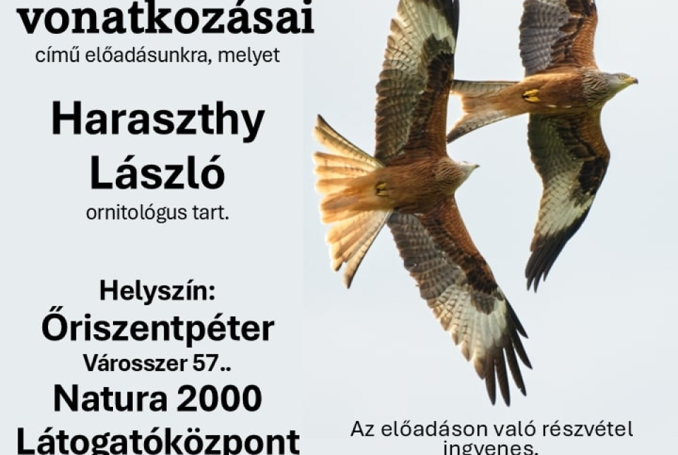 Ragadozómadarak természetvédelmi és vadgazdálkodási vonatkozásai