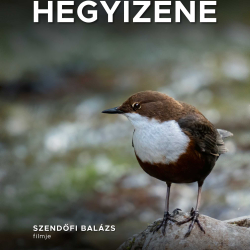 Hegyizene - filmbemutató