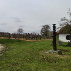 Túra erdőn, mezőn, hegyen, völgyön