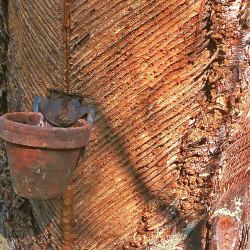 Előadás az Őrségi gyantászásról az Apátistvánfalvai Ökocentrumban