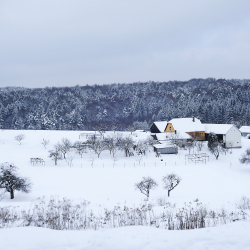 Túra erdők és határkövek nyomában