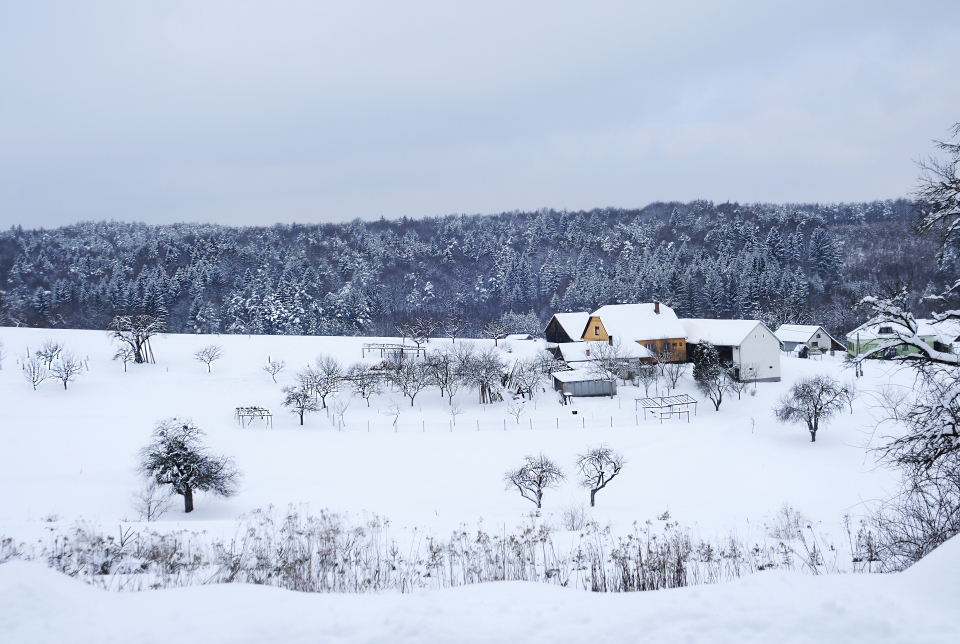 Túra erdők és határkövek nyomában
