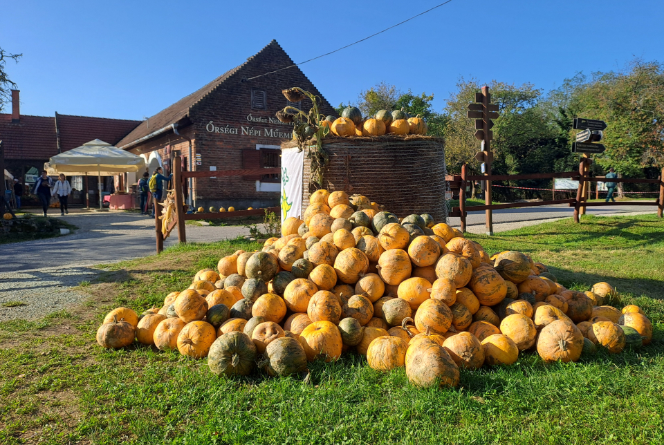 XXII. Őrségi Tökfesztivál