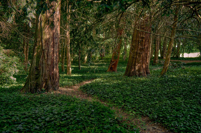 Szelestei arborétum