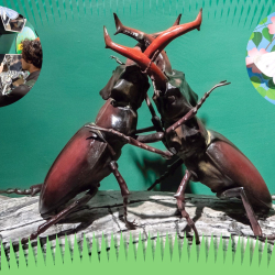 Óriások a fűszálak között - makettkiállítás megnyitó