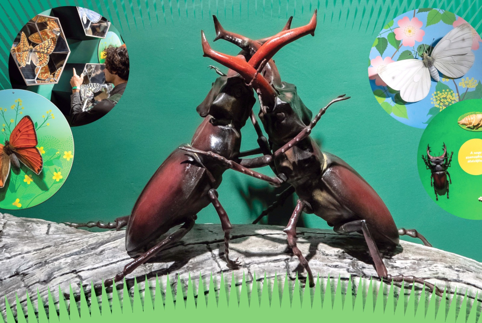 Óriások a fűszálak között - makettkiállítás megnyitó