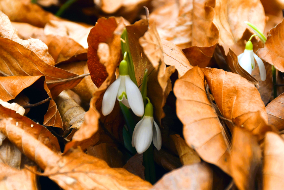 Gyalogtúra a Belső-Őrségben