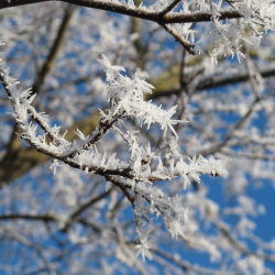 András-napi túra Szalafő környékén