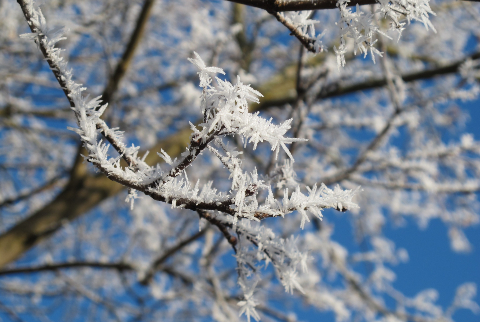 András-napi túra Szalafő környékén