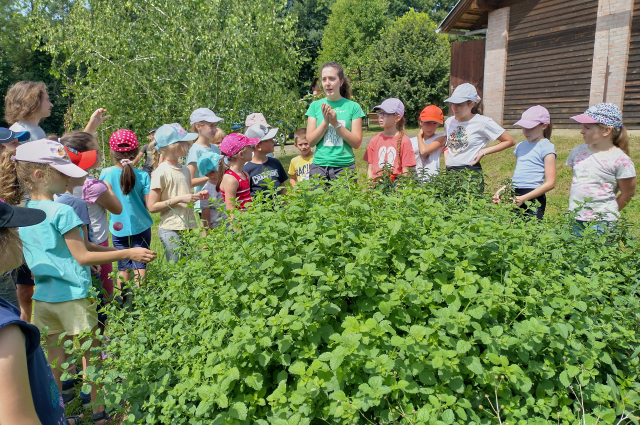 Sokszínű élővilágot rejtő Őrség