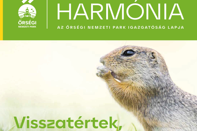 Letölthető anyagok, kiadványok