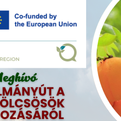 Tanulmányút a gyümölcsösök gondozásáról