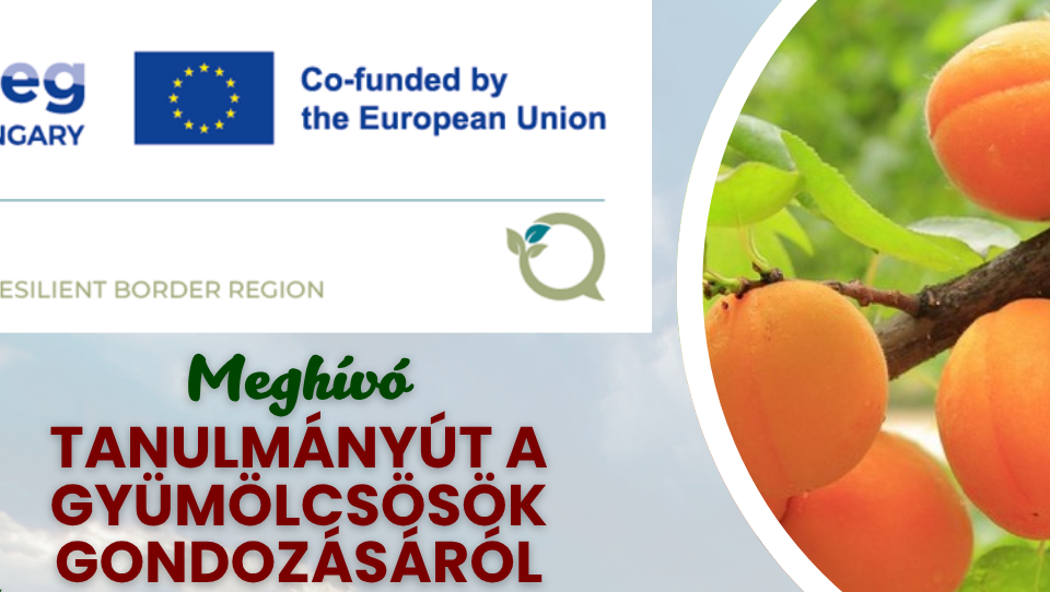 Tanulmányút a gyümölcsösök gondozásáról