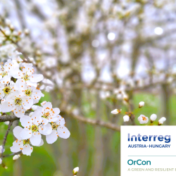 Csörgőalma Családi Oltónap