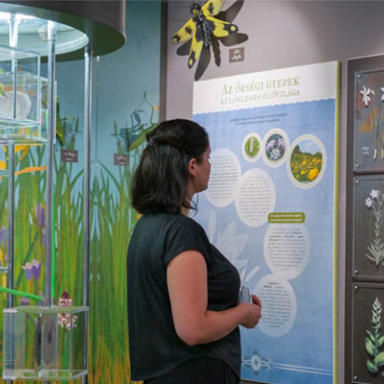 Natura 2000 Látogatóközpont