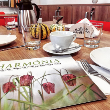 Harmatfű Természetiskola Galéria