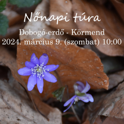 Nőnapi túra a Dobogó-erdőben