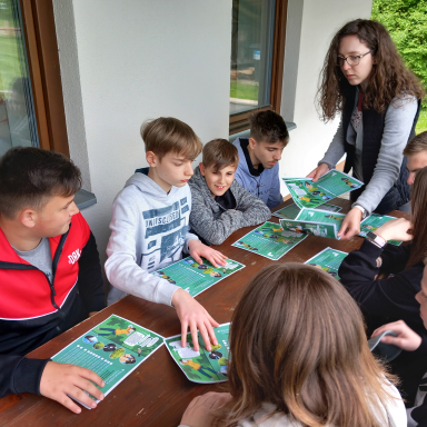 Természetiskola program - az erdők világa